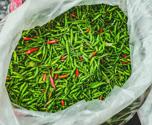 Exploring the Bird’s Eye Chilli