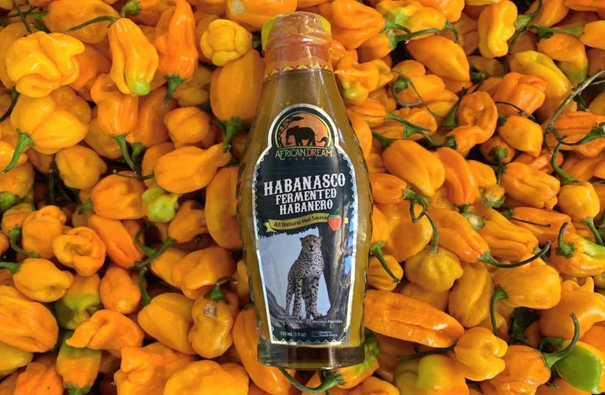 Habanasco – Fermented Habanero Hot Sauce 1-Pack