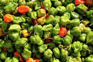 Exploring the Habanero Pepper